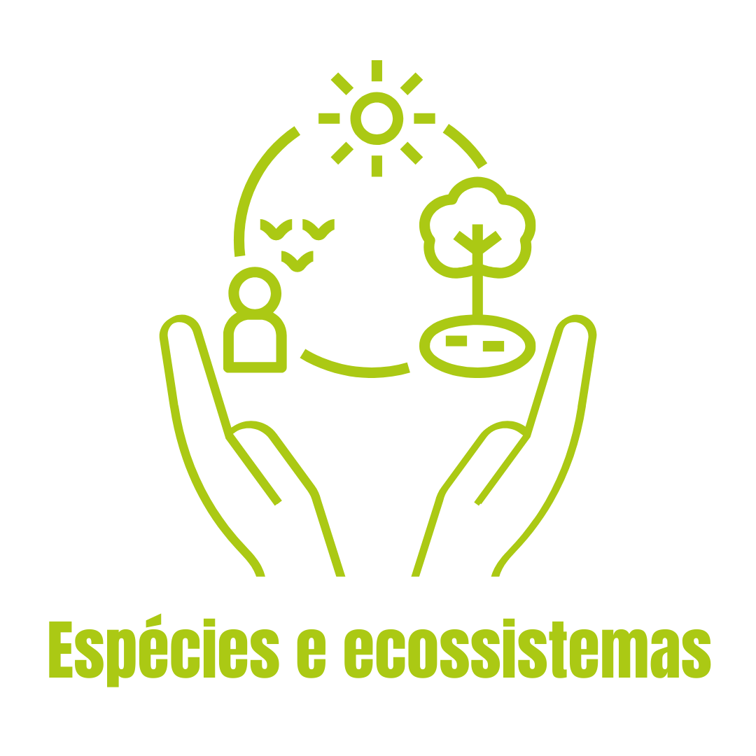 Espécies e ecossistemas